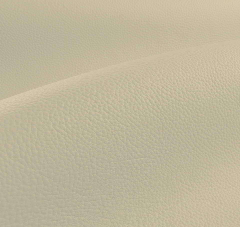 Premium Warm White