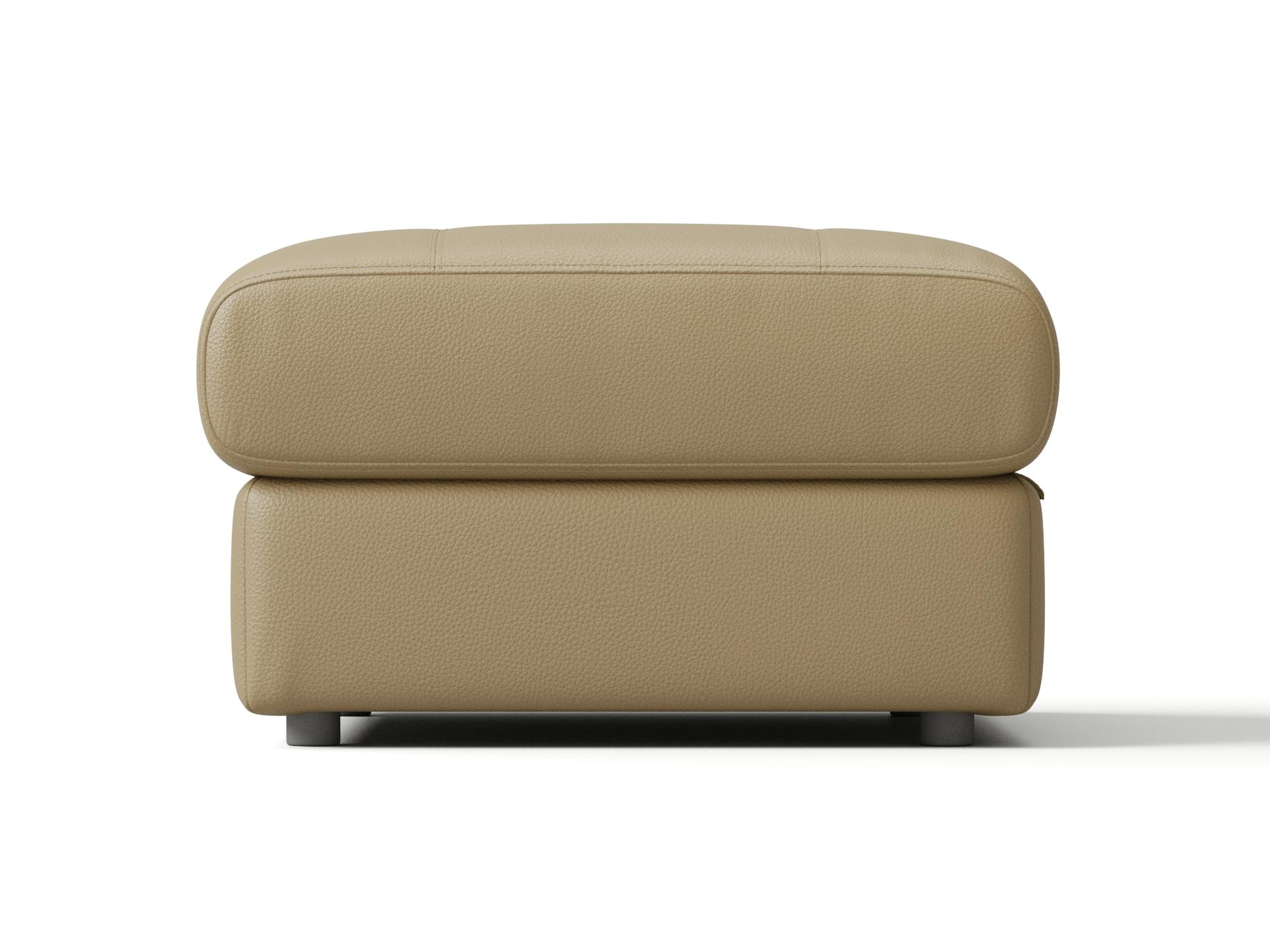 Edmond Leather Ottoman With Storage