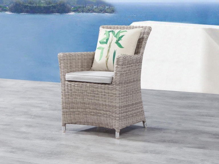 Savannah Outdoor Wicker Dining Chair Set of Two
